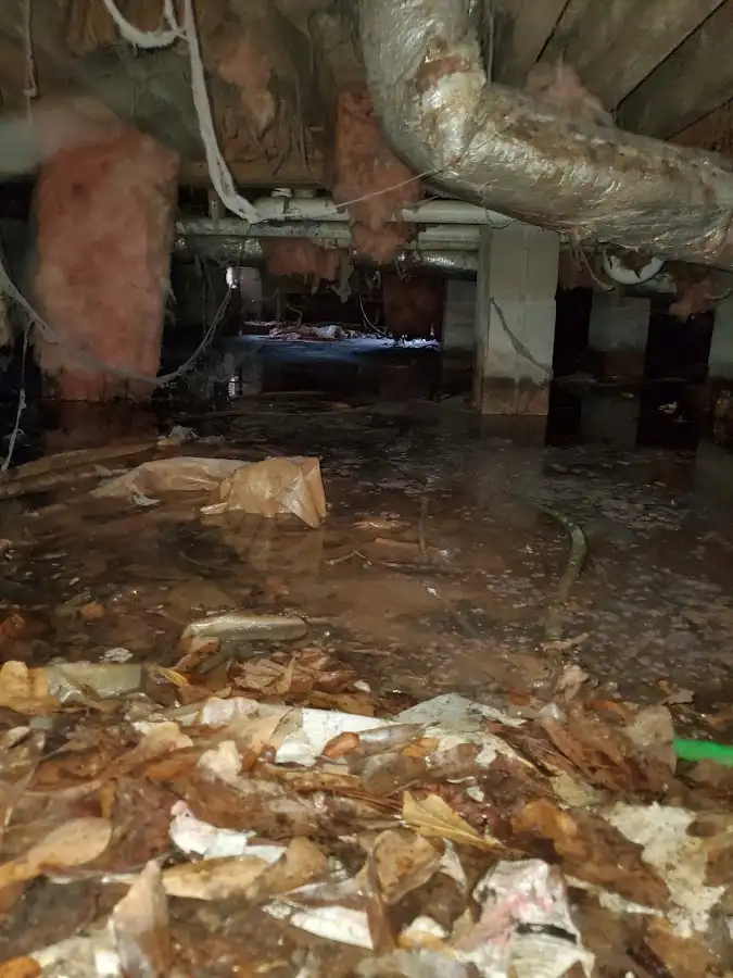 Crawl space flood assessment for Leak Detection & Repair in Crowley