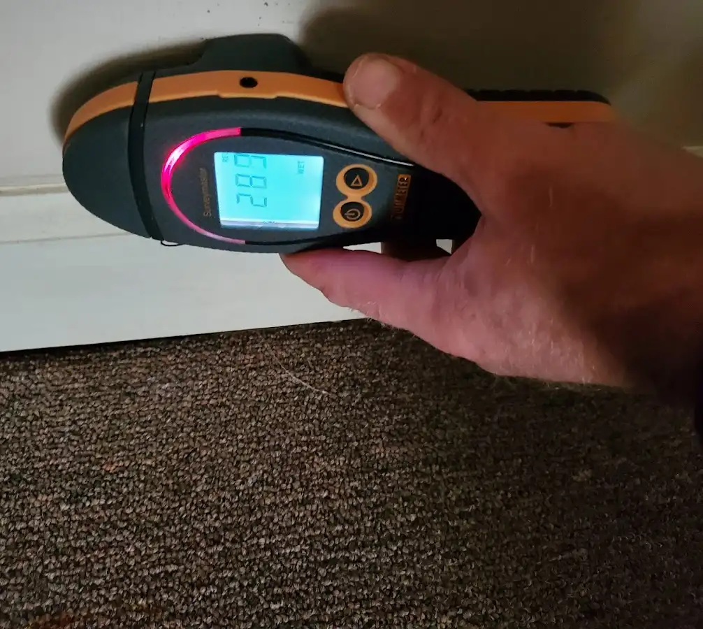 Moisture detection at baseboard during Mold Inspection & Testing in Crowley